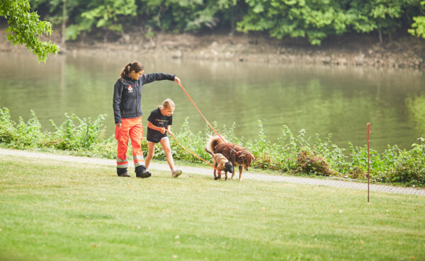 Rettungshundestaffel beim Augusta-Fest © Koblenz-Touristik GmbH, Picture Colada Rettungshundestaffel beim Augusta-Fest © Koblenz-Touristik GmbH, Picture Colada