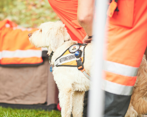 BRH Rettungshundestaffel Rehin-Mosel e.V., Augusta-Fest 2023 © Koblenz-Touristik, Picture Colada BRH Rettungshundestaffel Rehin-Mosel e.V., Augusta-Fest 2023 © Koblenz-Touristik, Picture Colada