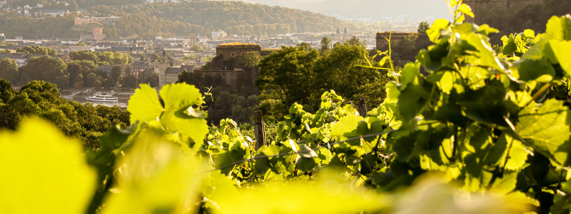 Weinberg Festung Ehrenbreitstein © Koblenz-Touristik GmbH Blick über die Weinberge in Ehrenbreitstein auf die Festung Ehrenbreitstein © Koblenz-Touristik GmbH